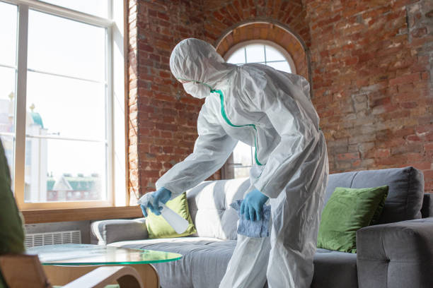 Why You Should Choose Our Mold Remediation Services in Palisade, CO